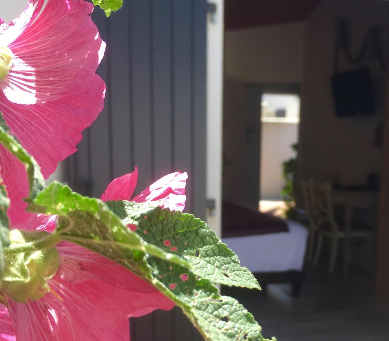 Hotel Restaurant & Spa Plaisir Le Bois-Plage-en-Ré エクステリア 写真